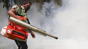 মশা মারতে হাঁকডাক, মাঠের কর্মীরা কোথায়?
