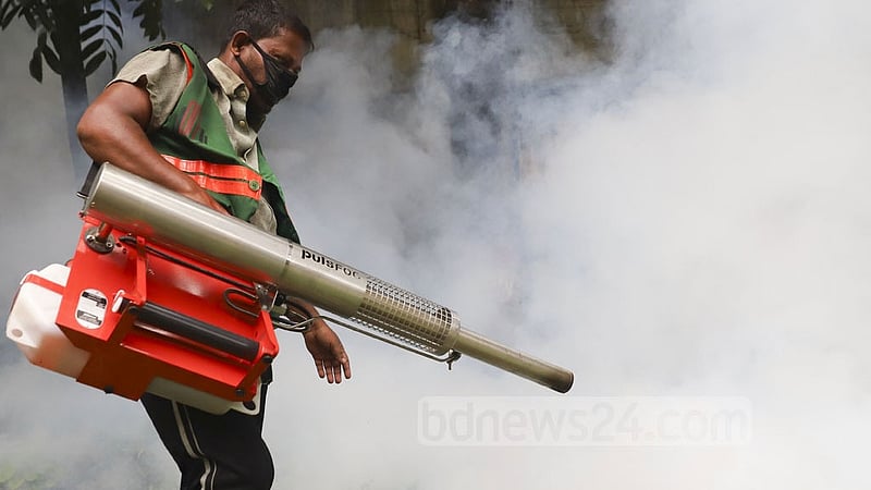 মশা মারতে হাঁকডাক, মাঠের কর্মীরা কোথায়?