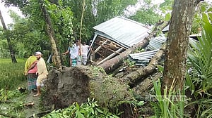 জামালপুরে কালবৈশাখী ঝড়ে গাছচাপায় মা ও দুই মেয়ের মৃত্যু