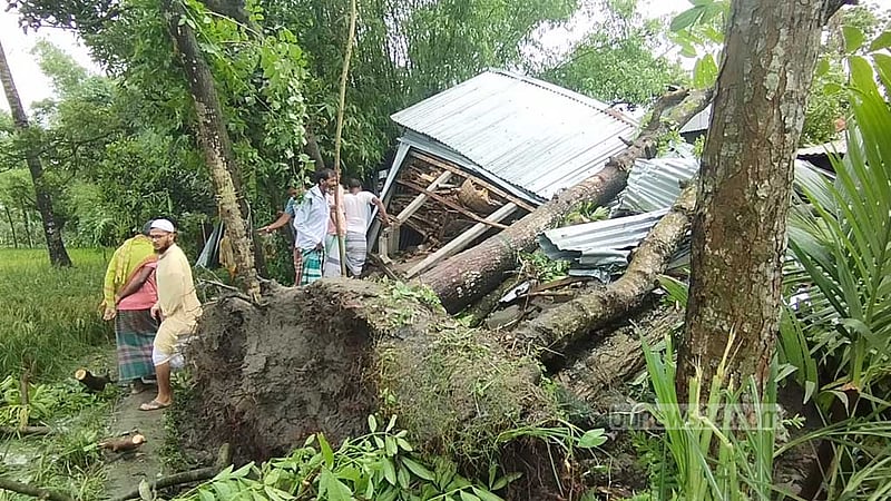 জামালপুরে কালবৈশাখী ঝড়ে গাছচাপায় মা ও দুই মেয়ের মৃত্যু