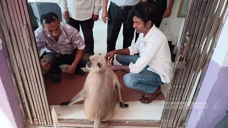 চিকিৎসা নিতে হাসপাতালে এল আহত হনুমান