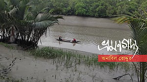 সুন্দরবন: প্রকৃতির পাঠশালায় কয়েকটি দিন