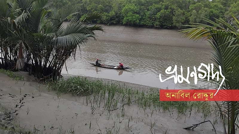 সুন্দরবন: প্রকৃতির পাঠশালায় কয়েকটি দিন