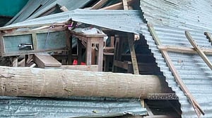 নড়াইলে কালবৈশাখী ঝড়ে বিদ্যালয়ে গাছ পড়ে ২ শিক্ষার্থী আহত
