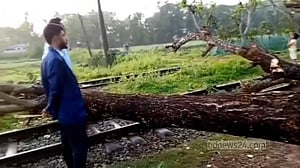 ঝড়ে রেললাইনে গাছ: পথে পথে আটকে গেল ‘উপকূল এক্সপ্রেস’