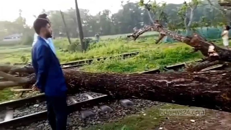 ঝড়ে রেললাইনে গাছ: পথে পথে আটকে গেল ‘উপকূল এক্সপ্রেস’