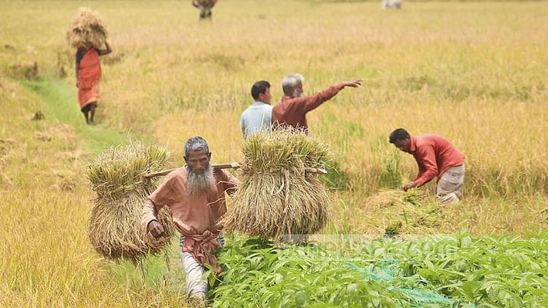 রাজস্ব সংস্কার: সম্পদ কর কি কৃষকের গলার কাঁটা হবে?