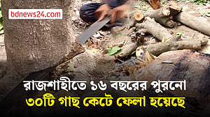 রাজশাহীতে সড়ক সম্প্রসারণে কাটা পড়ল ৩০টি কাঠবাদাম গাছ