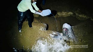 রাঙামাটিতে বন্যহাতির মৃত্যু: এবার মাটি খুঁড়ে মাংস চুরির চেষ্টা