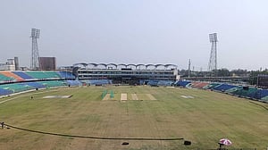 ধূসর সাগরিকায় সবুজাভ উইকেট