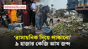 সাতক্ষীরায় ৯ হাজার কেজি আম জব্দ, পরে ধ্বংস