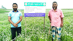 চৌহালীর চরাঞ্চলে কালোজিরা চাষে নতুন সম্ভাবনা, কৃষকের মুখে হাসি