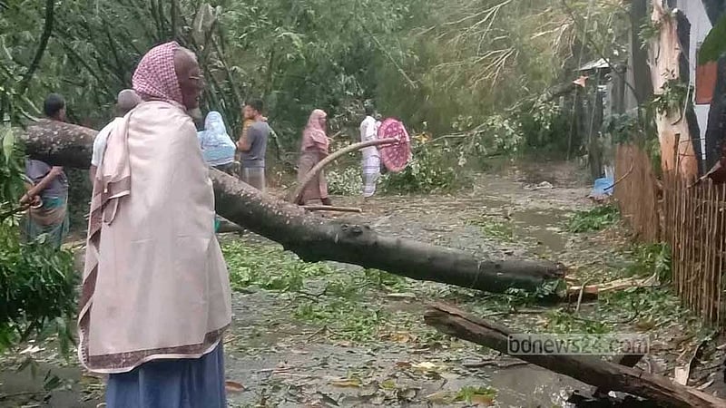 সিরাজগঞ্জে ঝড়ে ঘরের ওপর গাছ পড়ে নারীর মৃত্যু