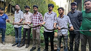 চট্টগ্রাম বিশ্ববিদ্যালয়ে এবার ১২ ফুট দীর্ঘ রাজ গোখরা উদ্ধার