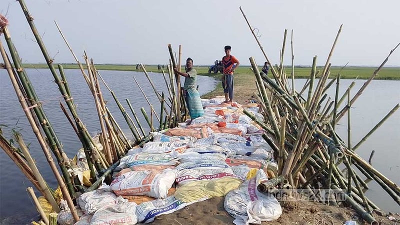 ৮ ঘণ্টার চেষ্টায় রক্ষা পেল ‘দেখার হাওরের’ বাঁধ