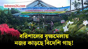 বরিশালে বৃক্ষমেলা: ঝোঁক বেশি বিদেশি ও শোভাবর্ধক গাছে