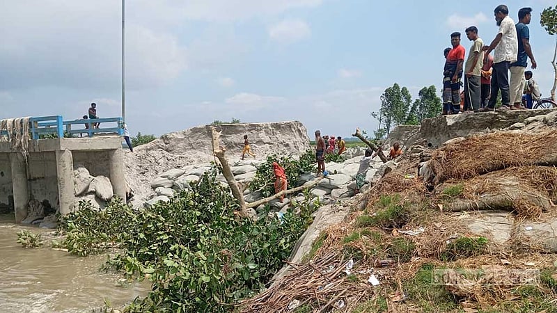 বগুড়ায় যমুনার ঘূর্ণাবর্তে ধসে গেছে স্পার বাঁধের ৩০ মিটার
