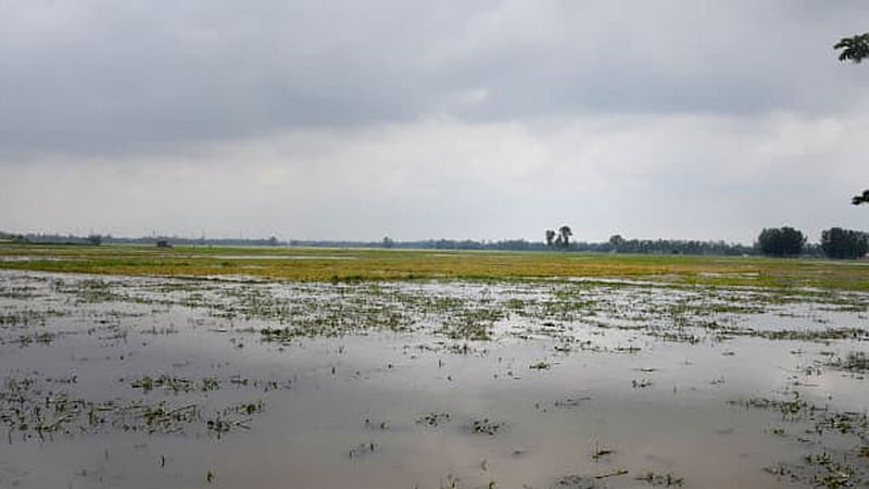 বগুড়ায় হবে ৪০০ একরের শিল্পপার্ক: বাণিজ্যমন্ত্রী