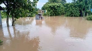 ব্রাহ্মণবাড়িয়ায় পাহাড়ি ঢলে তলিয়ে গেছে ২৫০ হেক্টর আমন ক্ষেত