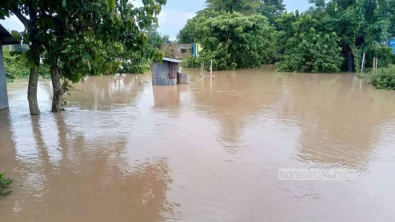 ব্রাহ্মণবাড়িয়ায় পাহাড়ি ঢলে তলিয়ে গেছে ২৫০ হেক্টর আমন ক্ষেত
