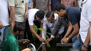 ঢাকা বিশ্ববিদ্যালয়ে ছাত্রদলের বৃক্ষরোপণ, ৫০০ চারা দিল ডিএসসিসি