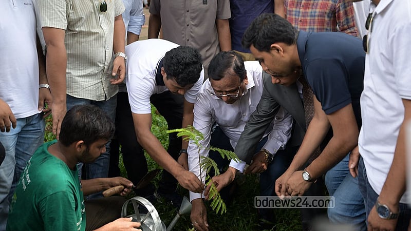 ঢাকা বিশ্ববিদ্যালয়ে ছাত্রদলের বৃক্ষরোপণ, ৫০০ চারা দিল ডিএসসিসি