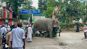 আদালতের নির্দেশে পুলিশ হেফাজতে থাকা হাতি যাচ্ছে মালিকের কাছে