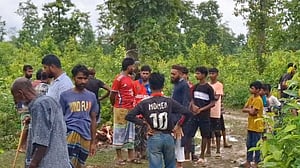 শ্রীপুরের জঙ্গল থেকে ১২ ঘোড়ার মাথা ও দেহাবশেষ উদ্ধার
