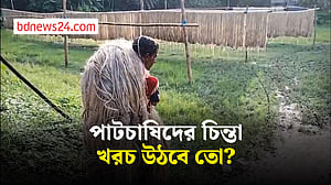 গোপালগঞ্জে পাটের ফলন ভালো, কিন্তু মিলছে না আশানুরূপ দাম