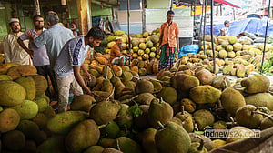 কাঁঠালের বাজার