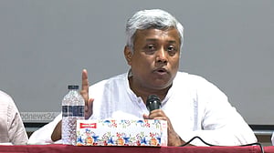 আগামী গ্রীষ্মের মধ্যে ৩ হাজার মেগাওয়াট সৌরবিদ্যুৎ উৎপাদনের আশা: প্রতিমন্ত্রী