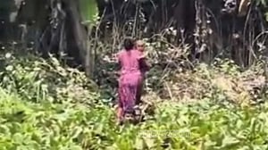 ঝিনাইদহ সীমান্তে নারী-শিশুসহ ৪ জনকে ‘পুশ ইনের’ চেষ্টা, বিজিবির বাধা