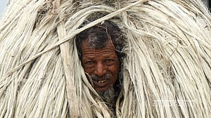 মুন্সীগঞ্জে পাটের ভাসমান হাট