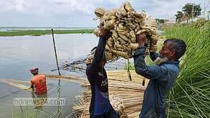 প্রথমবারের মত পাটের দাম নির্ধারণ করতে যাচ্ছে সরকার