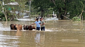 দীঘিনালায় পাহাড়ি ঢলে তলিয়ে গেছে খামারির দেড় হাজার মুরগী
