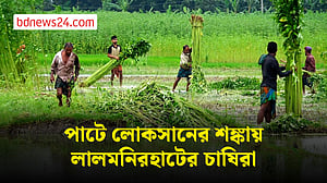 লালমনিরহাটে বিরূপ আবহাওয়ার প্রভাবে পাটে লোকসানের শঙ্কা