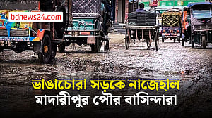 বেহাল মাদারীপুর পৌর এলাকার সড়ক