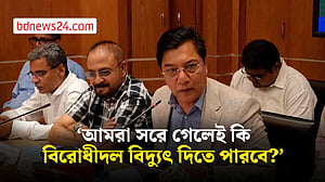 বিদ্যুৎ-গ্যাস সংকট কাটতে ‘সময় লাগবে’: এম রশিদুজ্জামান মিল্লাত