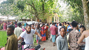 নীলফামারীতে সাপের কামড়ে শিশুসহ ২ জনের মৃত্যু