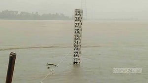 তিস্তায় ডালিয়া পয়েন্টে ৯ ঘণ্টায় পানি বেড়েছে ২৮ সেন্টিমিটার