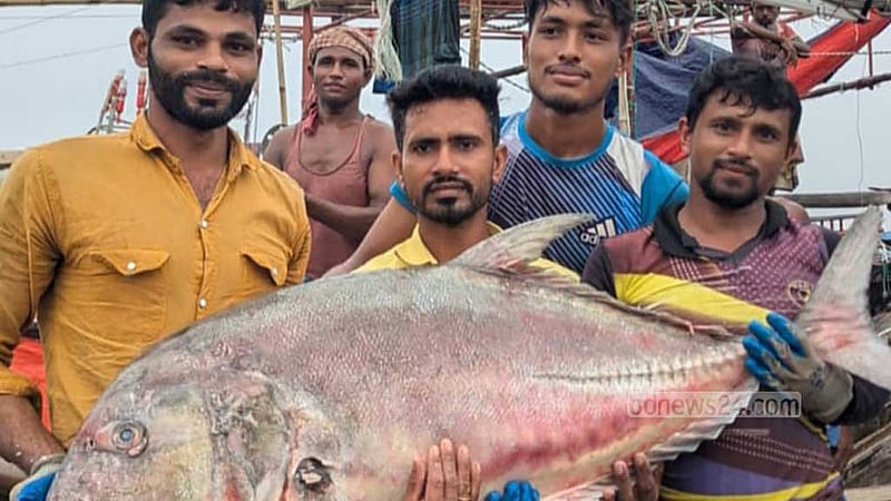 কুয়াকাটা সাগরে ৫৪ কেজির তবল মাছ, বিক্রি ৩৬ হাজারে