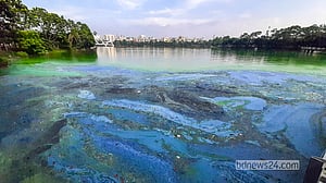 হাতিরঝিলে দুর্গন্ধে টেকা দায়