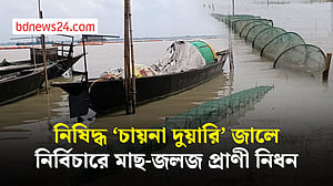 নিষিদ্ধ জালে সাবাড় হচ্ছে দেশীয় মাছ, হুমকির মুখে জলজ জীববৈচিত্র