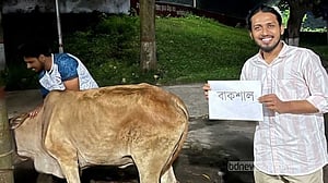 রাবিতে আম্মারের ‘জুলাই জিয়াফত’, গরুর নাম ‘বাকশাল’ রেখে জবাই
