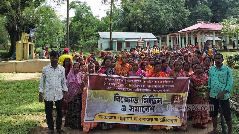 সিলেটে ৫০০ টাকা মজুরির দাবিতে চা শ্রমিকদের কর্মবিরতি