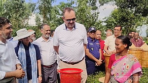 ঠাকুরগাঁওয়ে সমতলে চা চাষ ও সূর্যপূরী আমগাছ দেখে মুগ্ধ মার্কিন রাষ্ট্রদূত