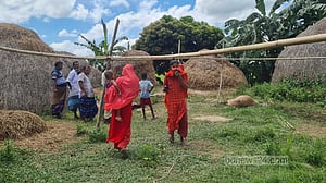 টাঙ্গাইলে পরিত্যক্ত বাড়িতে ১০ ঘোড়া জবাই, সাতটির মাংস উধাও