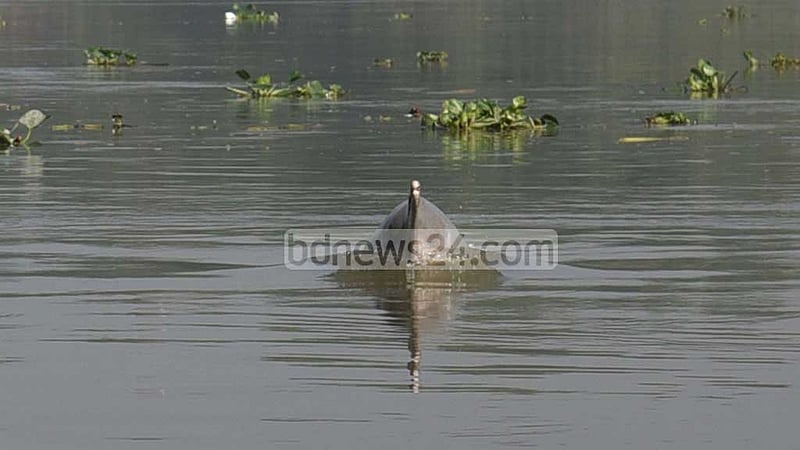 হালদায় গভীর রাতে নৌকায় হামলা, নদীতে পড়ে যুবক নিখোঁজ