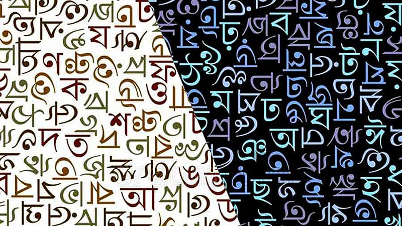 ভাষার রাজনীতি ও গণতন্ত্রের ভবিষ্যৎ