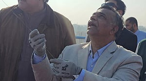 বুলবুলের ঘুড়ির নিচে বাংলাদেশের ক্রিকেট